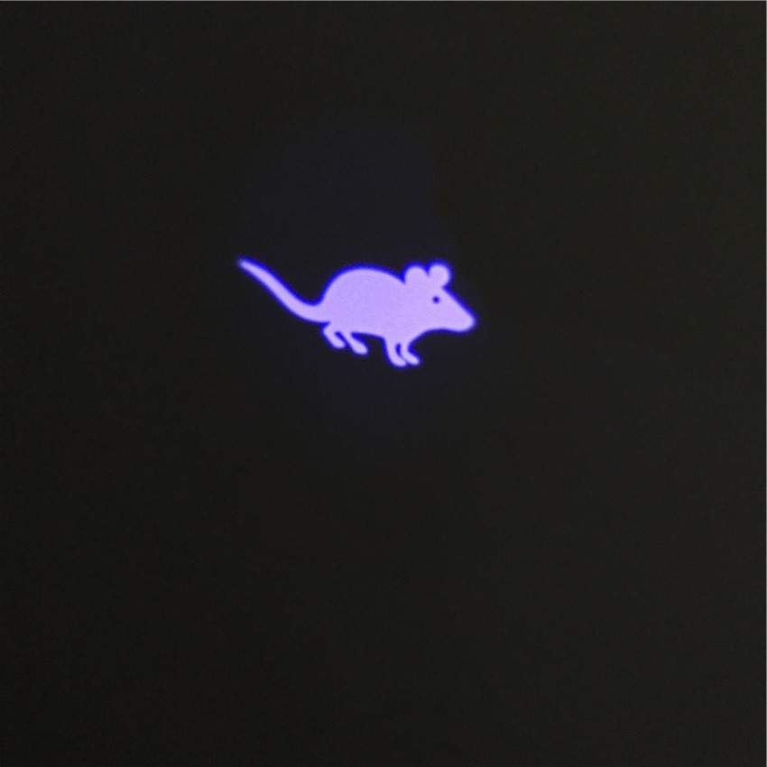 Light Projector Laser Pen for Cats