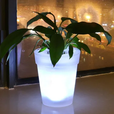 Light Up LED Solar Plant Pot