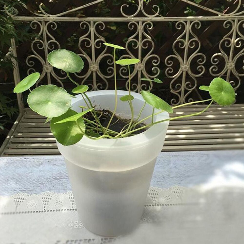 Light Up LED Solar Plant Pot