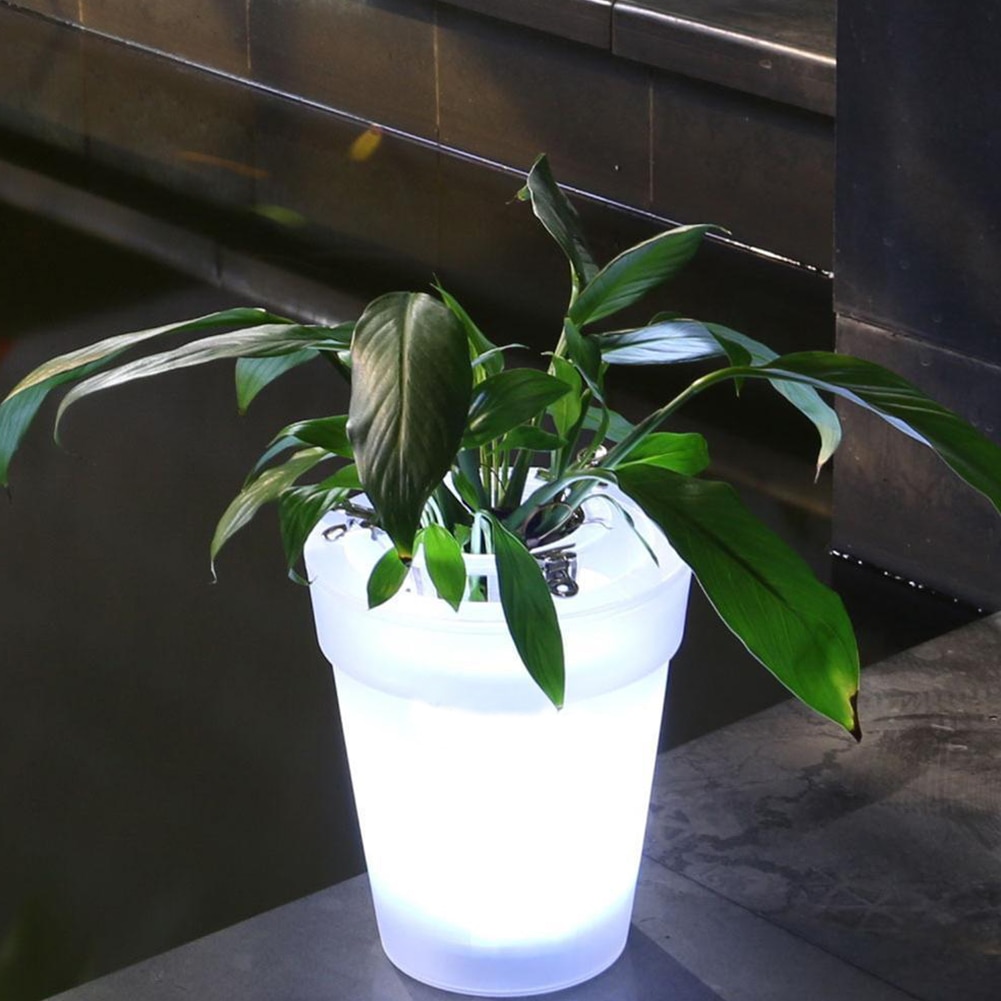 Light Up LED Solar Plant Pot