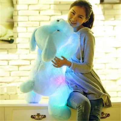 Light Up Stuffed Animal 50cm Plush Dog