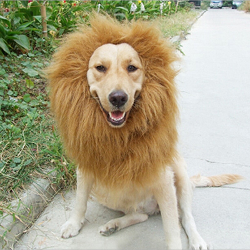 Lion Mane for Dog Pet Costume Wig