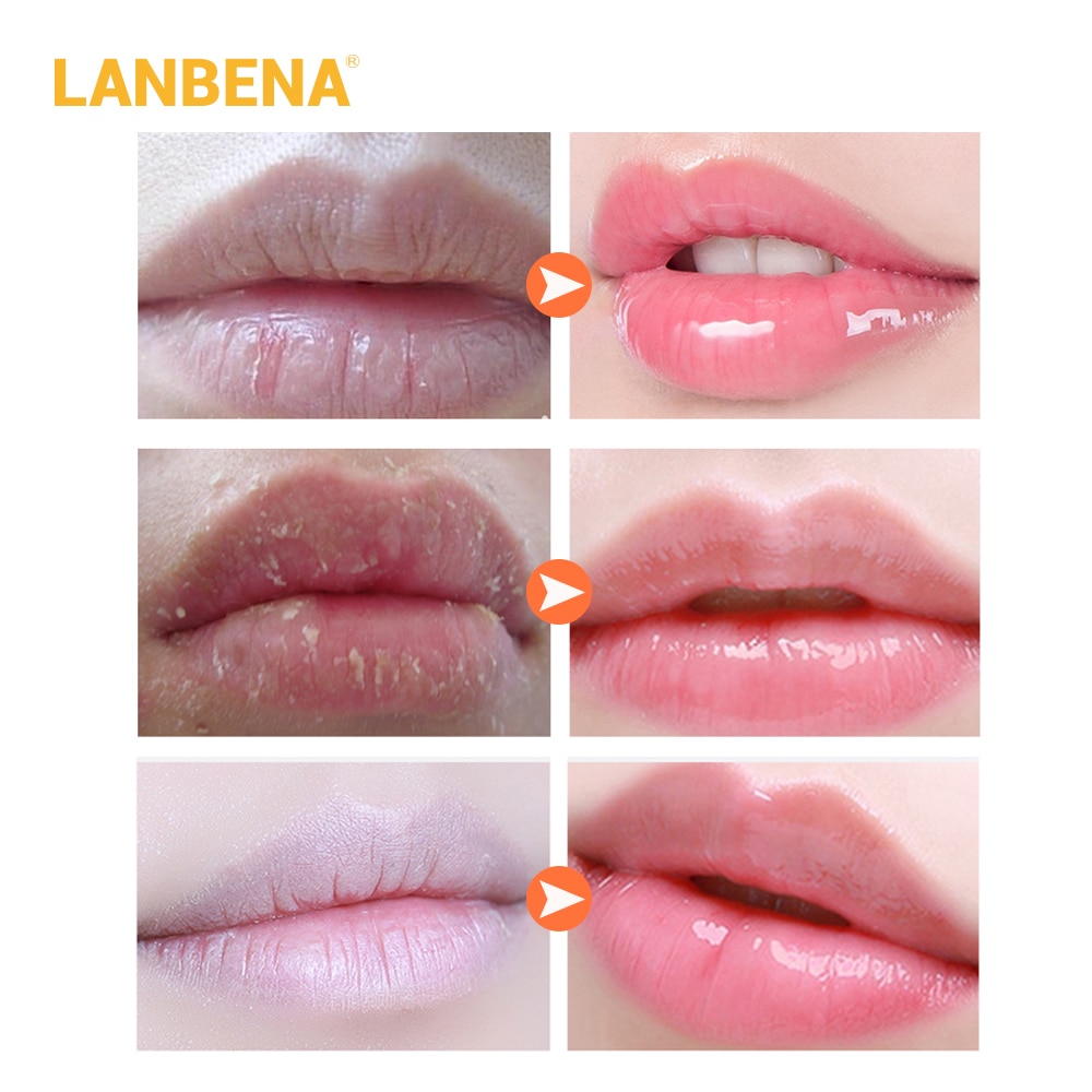 Lip Balm Natural Extract Lip Care