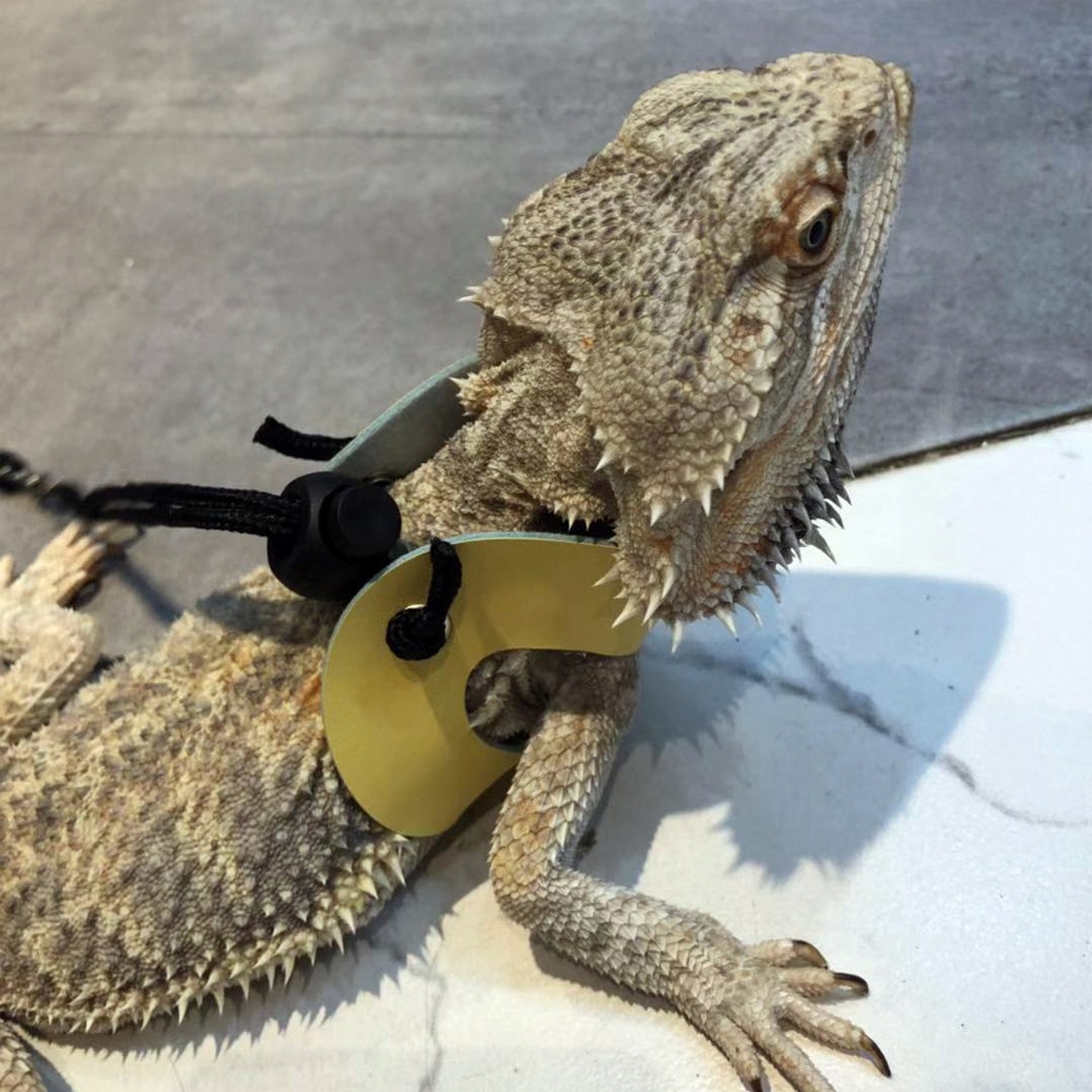Lizard Leash Adjustable Reptile Harness Lizard Leash Adjustable Reptile Harness