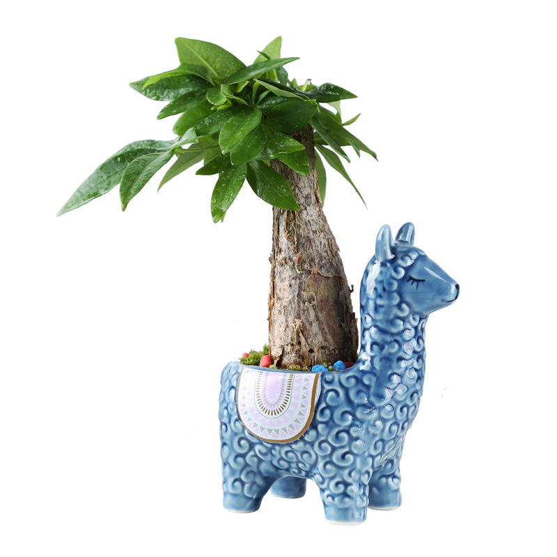 Llama Plant Pot Ceramic Planter