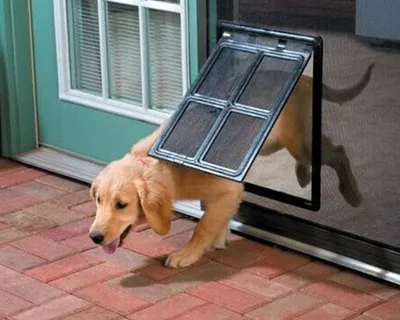 Lockable Doggy Door Pet Entrance Door