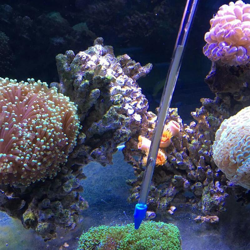 Long Acrylic Coral Feeder Tube Long Acrylic Coral Feeder Tube