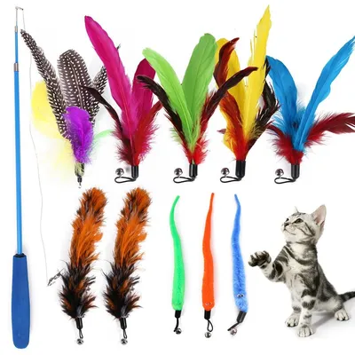 Long Handle Feather Cat Tickler (11 pcs)