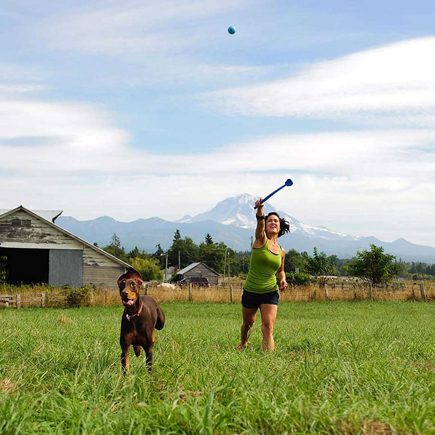 Long Handle Manual Pet Ball Thrower with Ball Long Handle Manual Pet Ball Thrower with Ball
