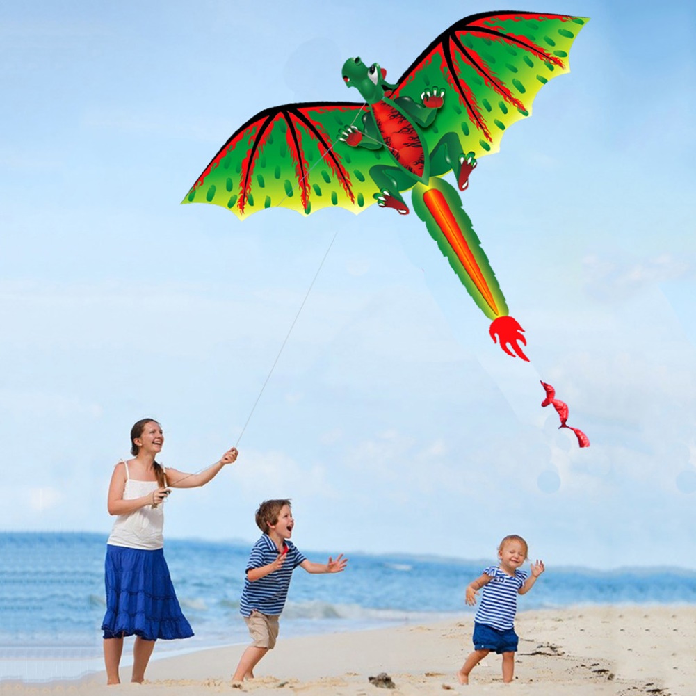 Long Tailed 3D Flying Dragon Kite