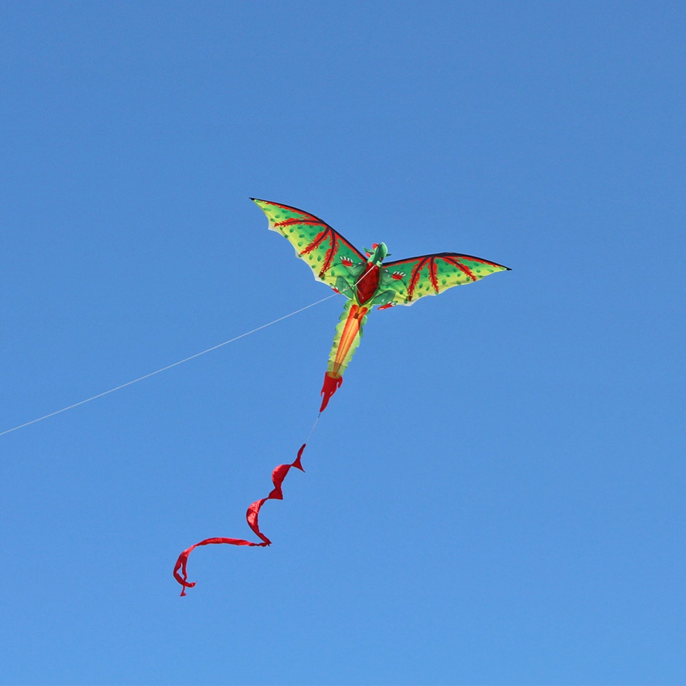 Long Tailed 3D Flying Dragon Kite Long Tailed 3D Flying Dragon Kite