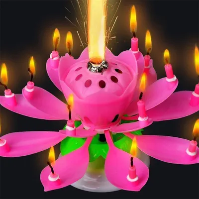 Lotus Birthday Candle Musical Cake Decor Lotus Birthday Candle Musical Cake Decor