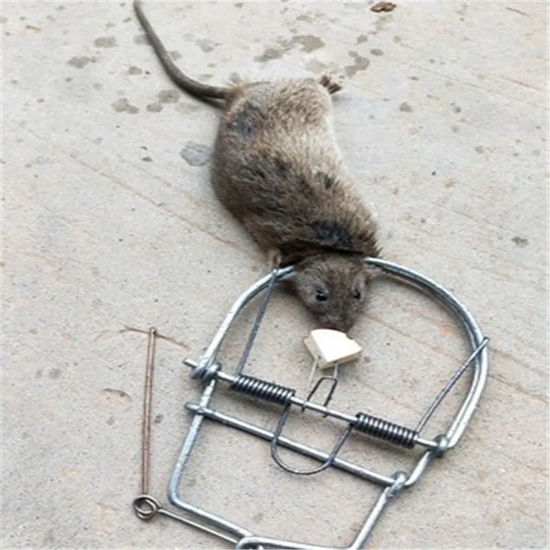 Lron Mousetrap Mouse trap Vole yellow weasel Insect trap Metal materials can be used repeatedly Capture pests
