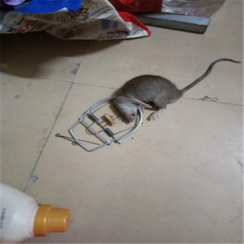 Lron Mousetrap Mouse trap Vole yellow weasel Insect trap Metal materials can be used repeatedly Capture pests Lron Mousetrap Mouse trap Vole yellow weasel Insect trap Metal materials can be used repeatedly Capture pests