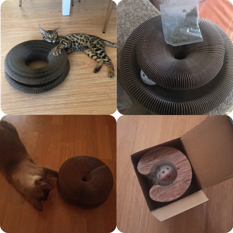 Magic Organ Cat Toy Cats Scratcher Scratch Board Round Corrugated Scratching Post Toys for Cats Grinding Claw Cat