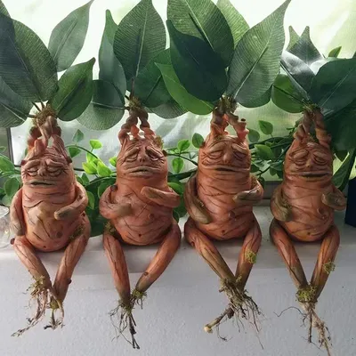 Mandrake Grass Resin Statue Landscape Ornament Art Figurine Crafts for Outdoor Garden Courtyard Living Room Bedroom Mandrake Grass Resin Statue Landscape Ornament Art Figurine Crafts for Outdoor Garden Courtyard Living Room Bedroom