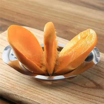 Mango Cutter Stainless Steel Tool Mango Cutter Stainless Steel Tool