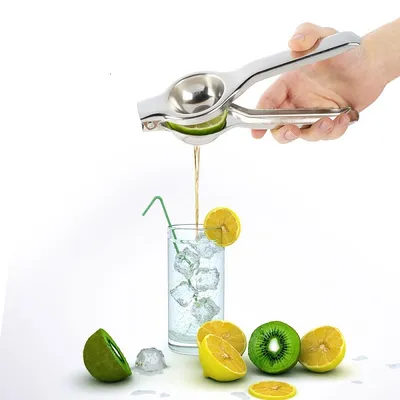 Manual Stainless Steel Fruit Juicer
