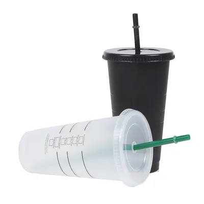 Matte Plastic Tumbler with Straw