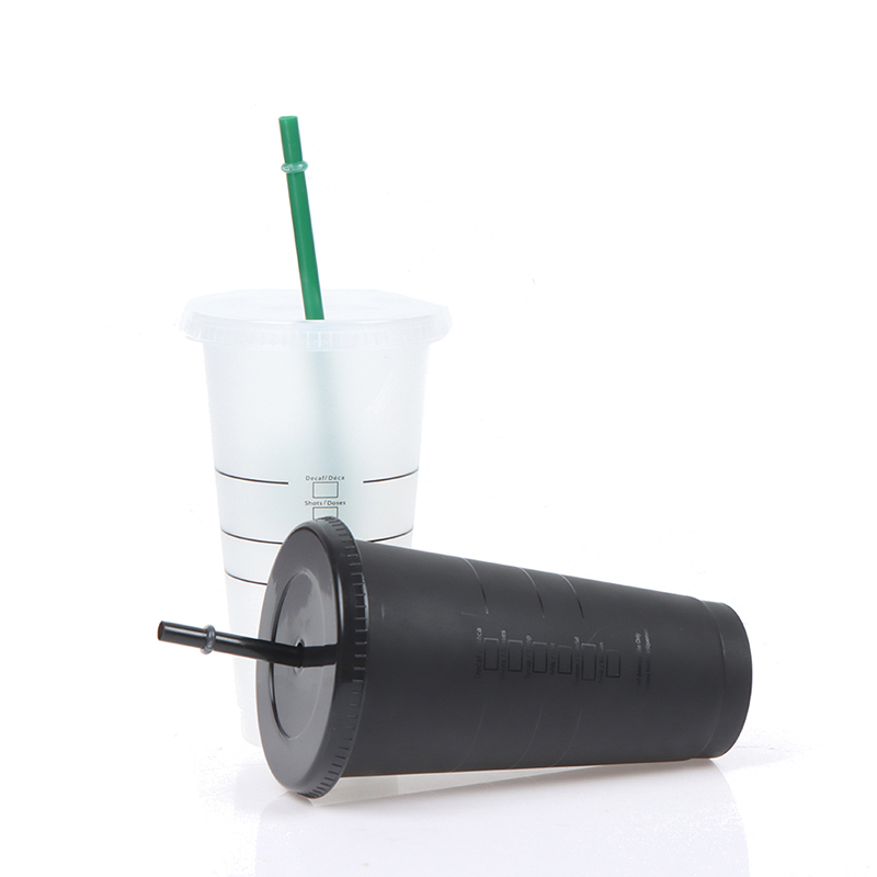 Matte Plastic Tumbler with Straw