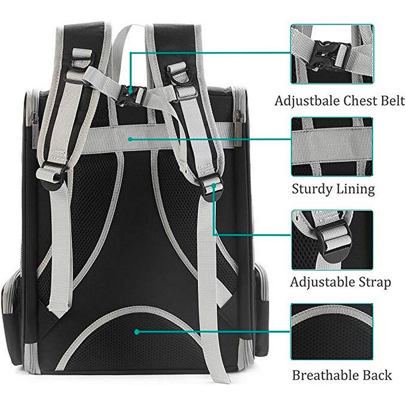 Mesh Cat Carrier with Seatbelt