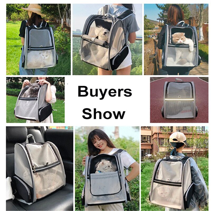 Mesh Cat Carrier with Seatbelt