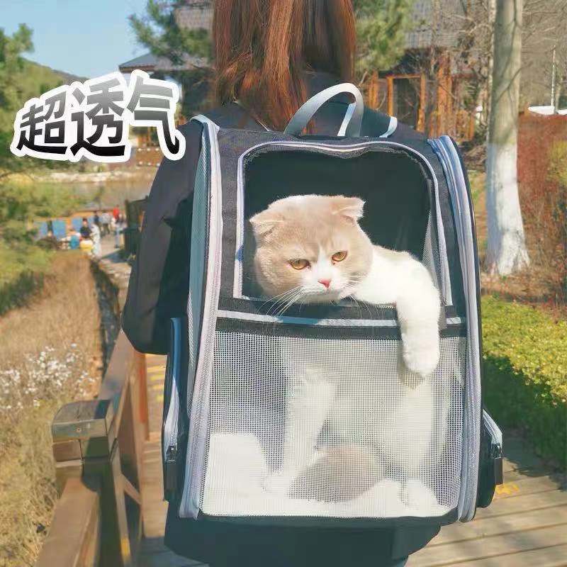 Mesh Cat Carrier with Seatbelt