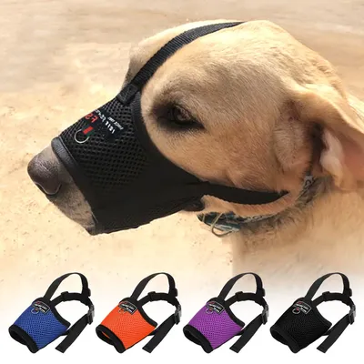 Mesh Nylon Dog Muzzle Adjustable Small Medium Large Dog Muzzle Pet Accessories Breathable Anti Bark Pet Puppy Mouth Mesh Nylon Dog Muzzle Adjustable Small Medium Large Dog Muzzle Pet Accessories Breathable Anti Bark Pet Puppy Mouth