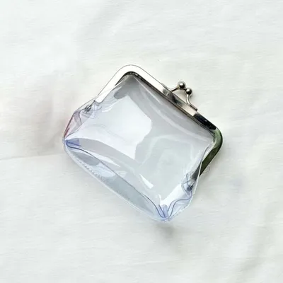 Metal Closure Clear Coin Purse