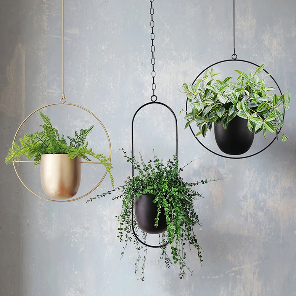 Metal Indoor Plant Hanger