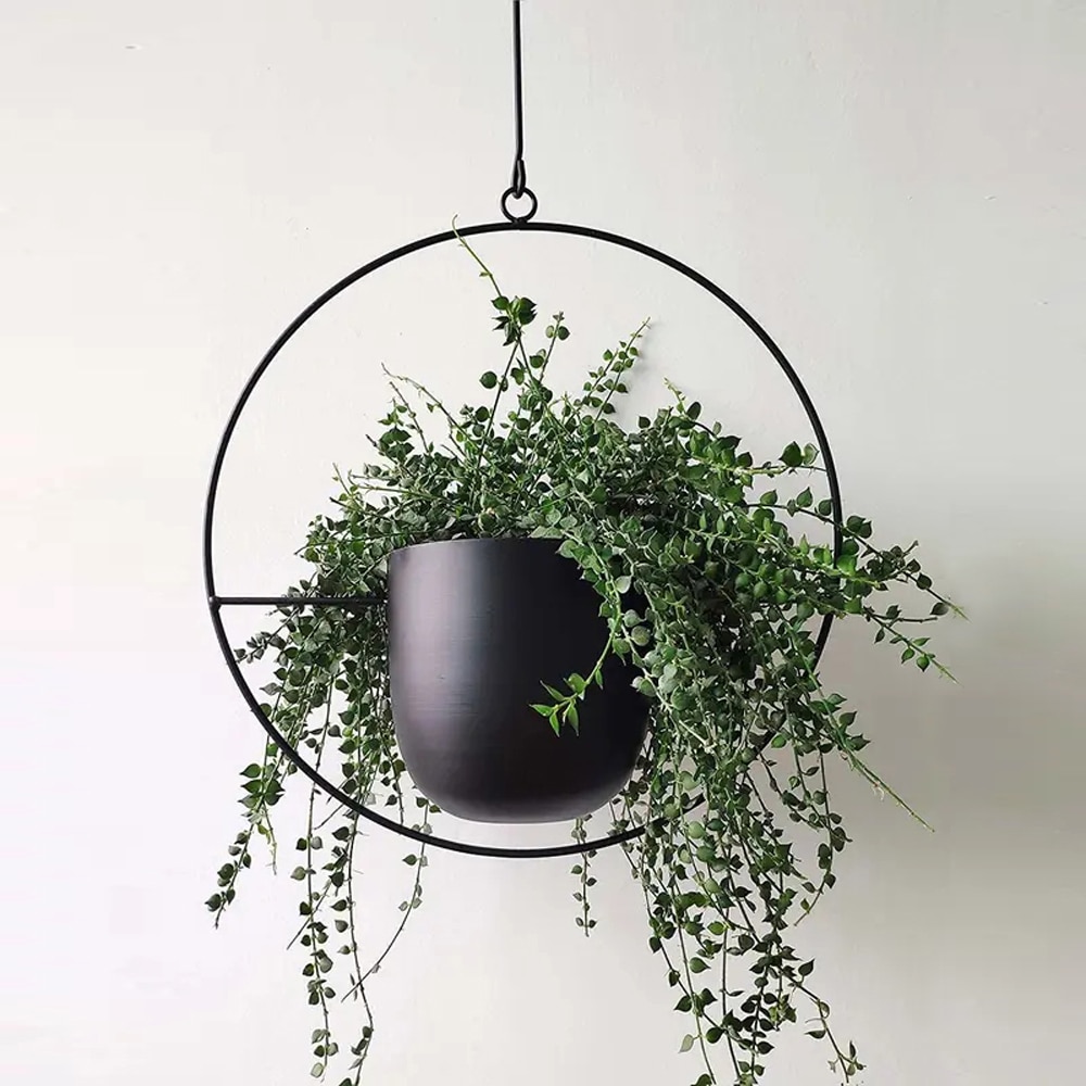Metal Indoor Plant Hanger Metal Indoor Plant Hanger