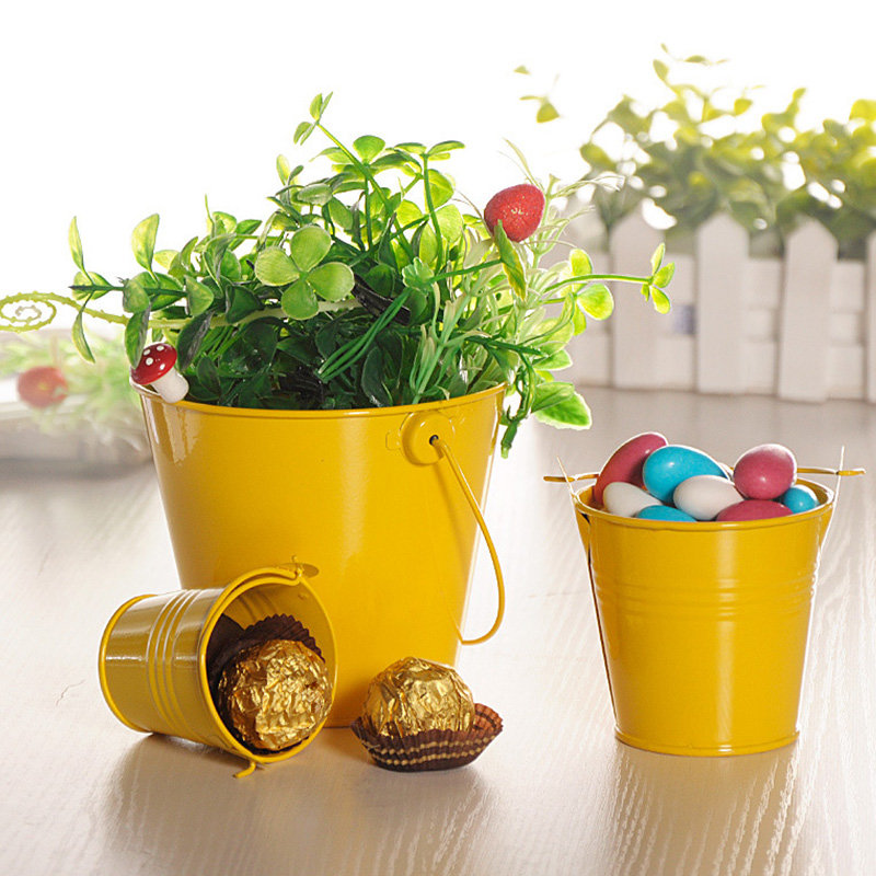 Metal Plant Bucket Home Decoration Metal Plant Bucket Home Decoration