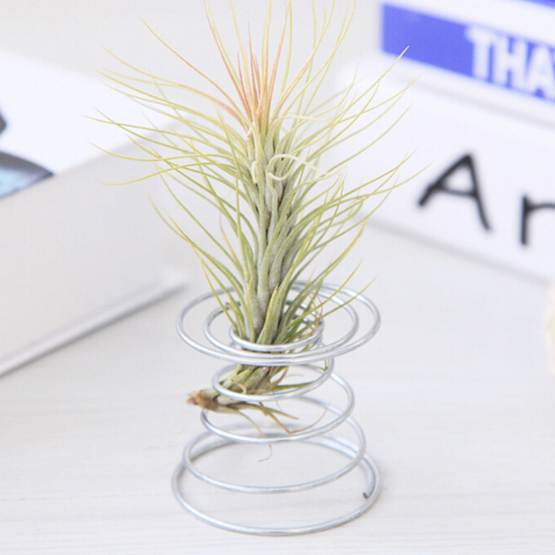 Metal Wire Air Plant Holder