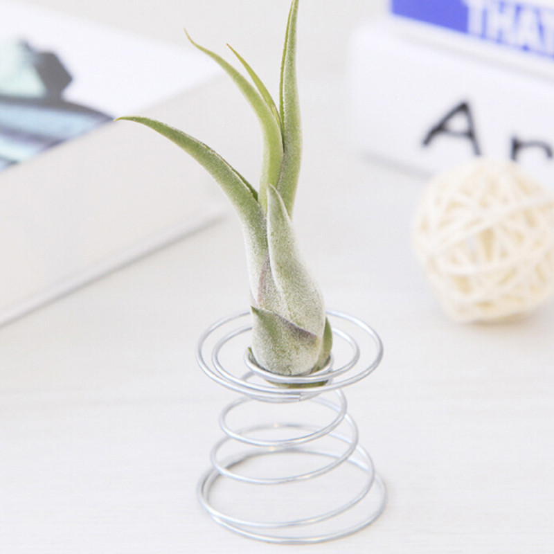 Metal Wire Air Plant Holder