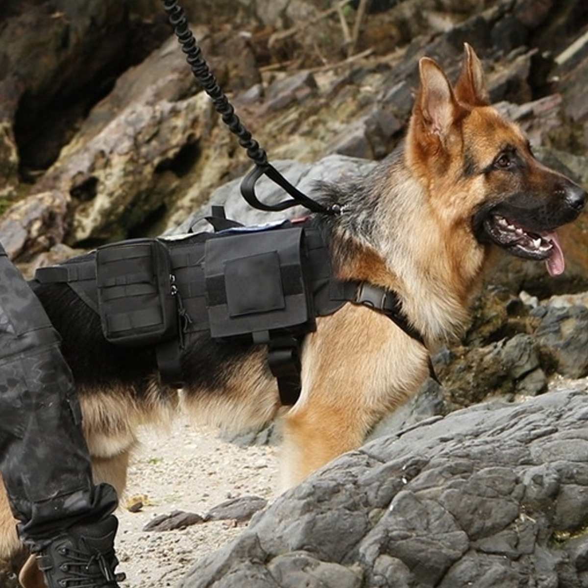 Military Dog Harness Army Vest Military Dog Harness Army Vest
