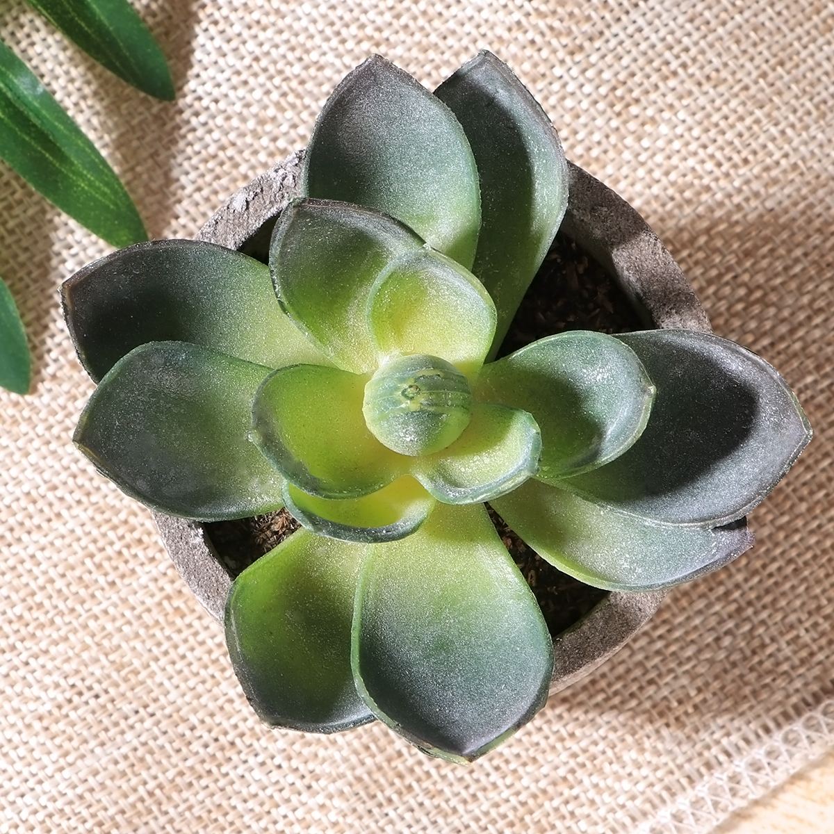 Mini Artificial Succulents in Pot (3 pcs)