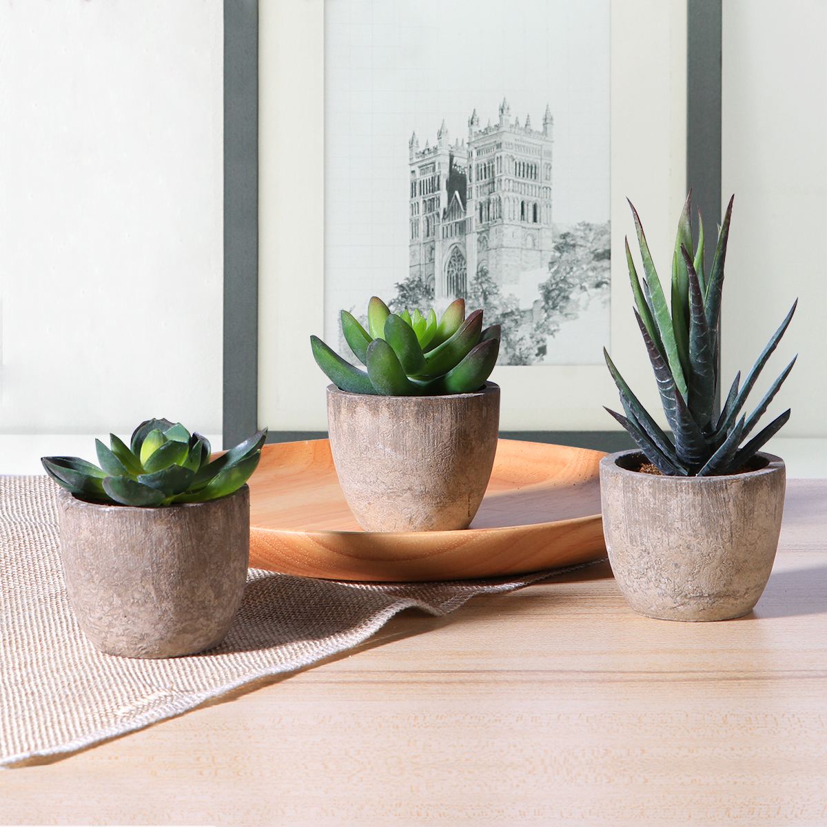 Mini Artificial Succulents in Pot (3 pcs)