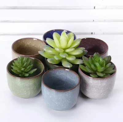 Mini Ceramic Pot for Succulents Mini Ceramic Pot for Succulents