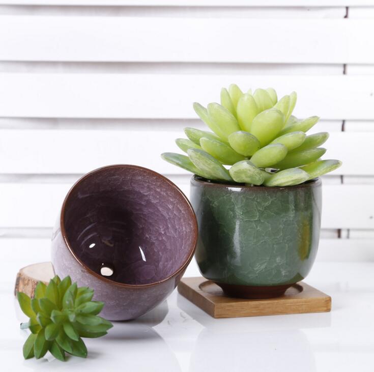 Mini Ceramic Pot for Succulents Mini Ceramic Pot for Succulents