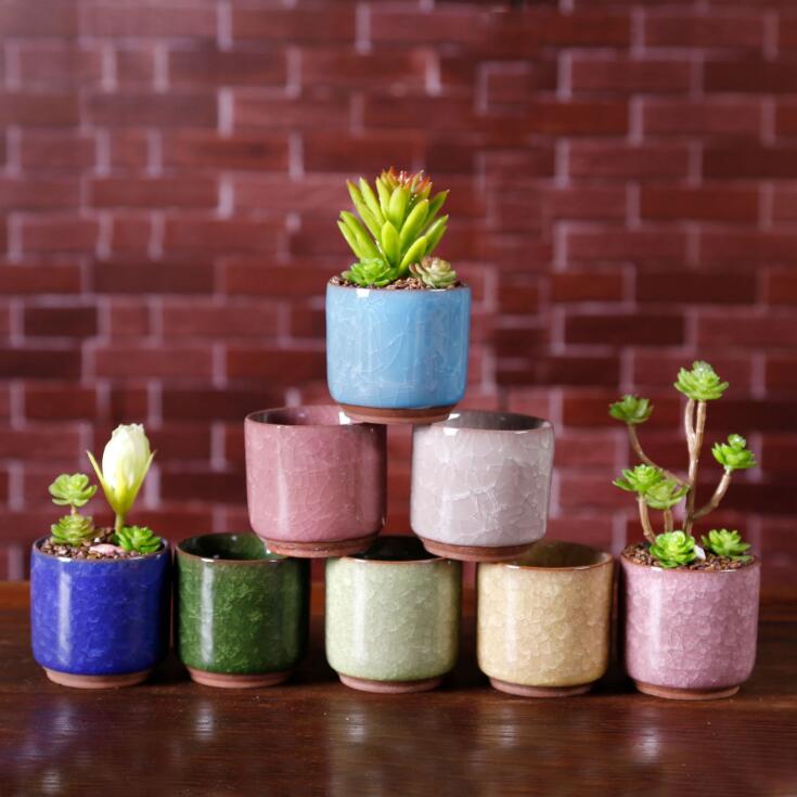 Mini Ceramic Pot for Succulents Mini Ceramic Pot for Succulents