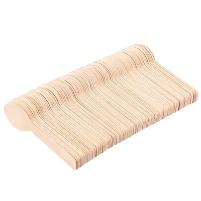 Mini Disposable Wooden Spoons (100 pcs)