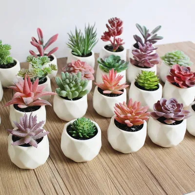 Mini Fake Plants Artificial Succulents Mini Fake Plants Artificial Succulents
