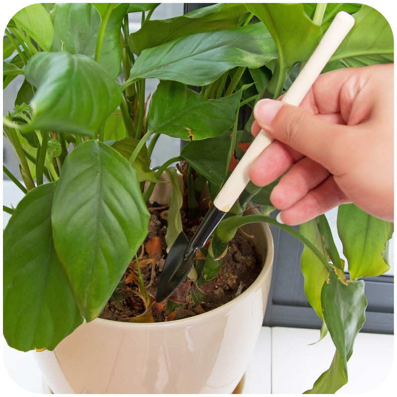 Mini Garden Tools Set (3 Pcs) Mini Garden Tools Set (3 Pcs)