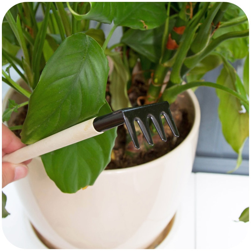 Mini Garden Tools Set (3 Pcs) Mini Garden Tools Set (3 Pcs)