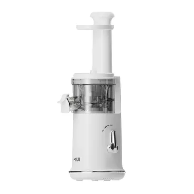 Mini Slow Juicer Portable Electric Juice Extractor Lemon Fruit Juice Maker Blender Easy Clean Can Make Ice Cream