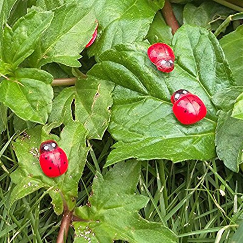Mini Wooden Ladybug Garden Decor (100 pcs) Mini Wooden Ladybug Garden Decor (100 pcs)