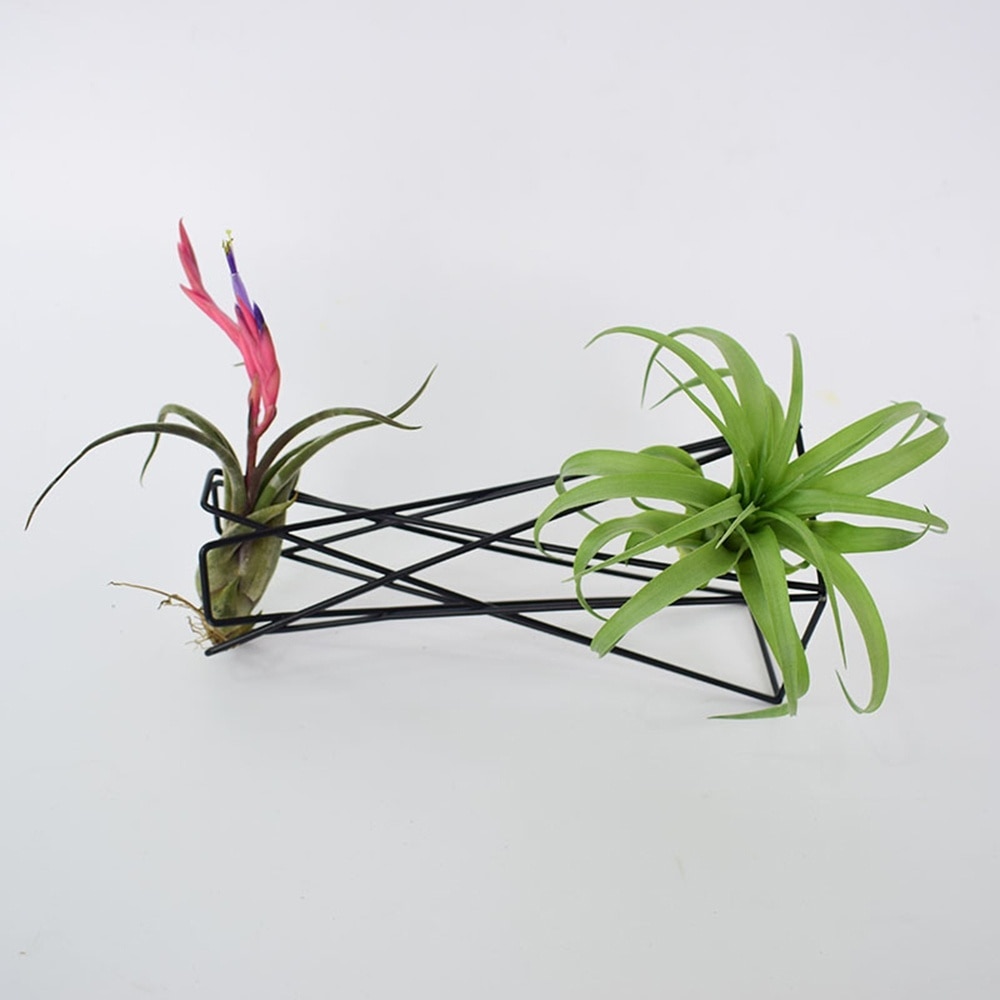 Minimalist Geometric Plant Holder