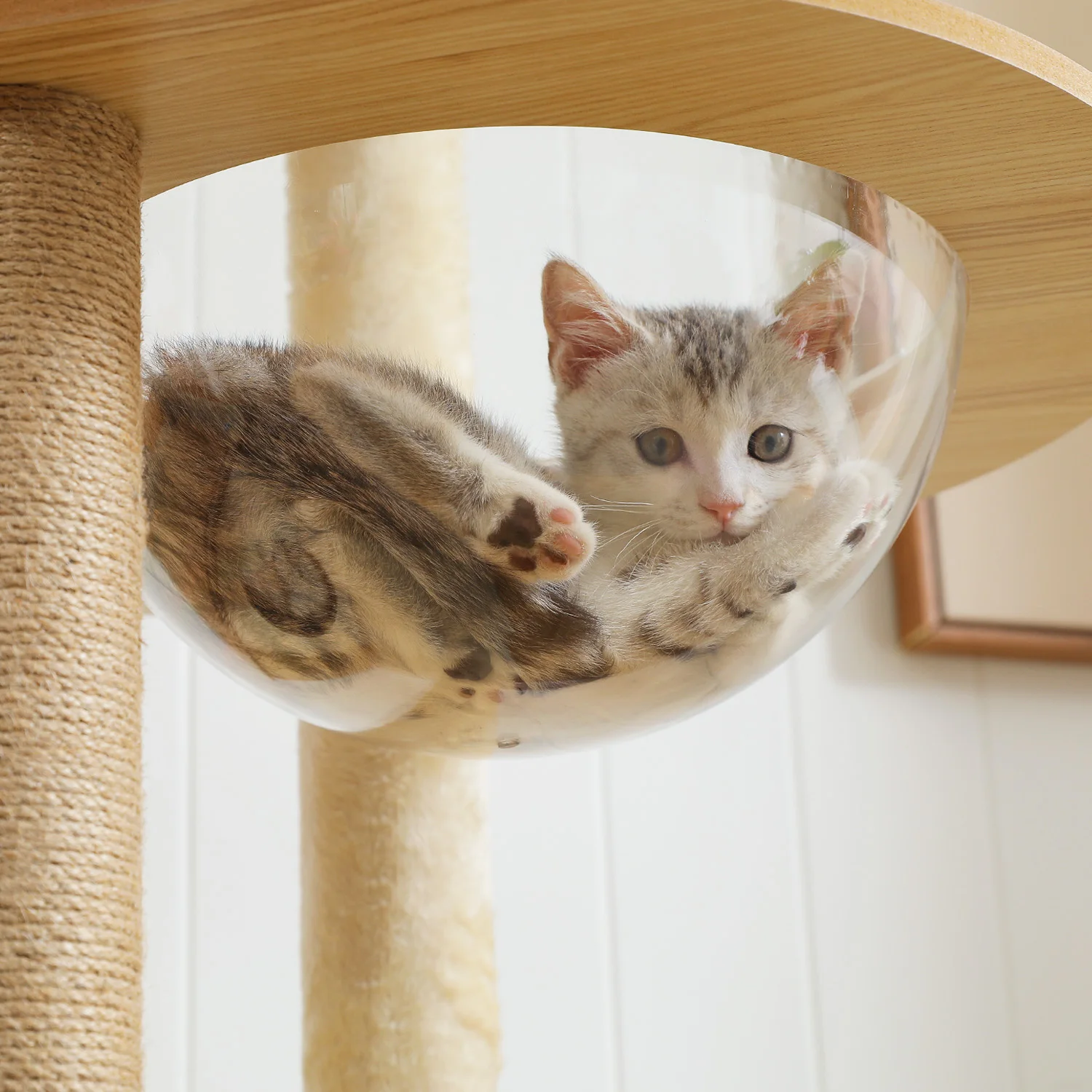 Multi-Level Cat Tree for Indoor Wood Cat Tower with Scratching Posts Spacious Condo Hammock Top Perch Cat Scratcher Cat Multi-Level Cat Tree for Indoor Wood Cat Tower with Scratching Posts Spacious Condo Hammock Top Perch Cat Scratcher Cat