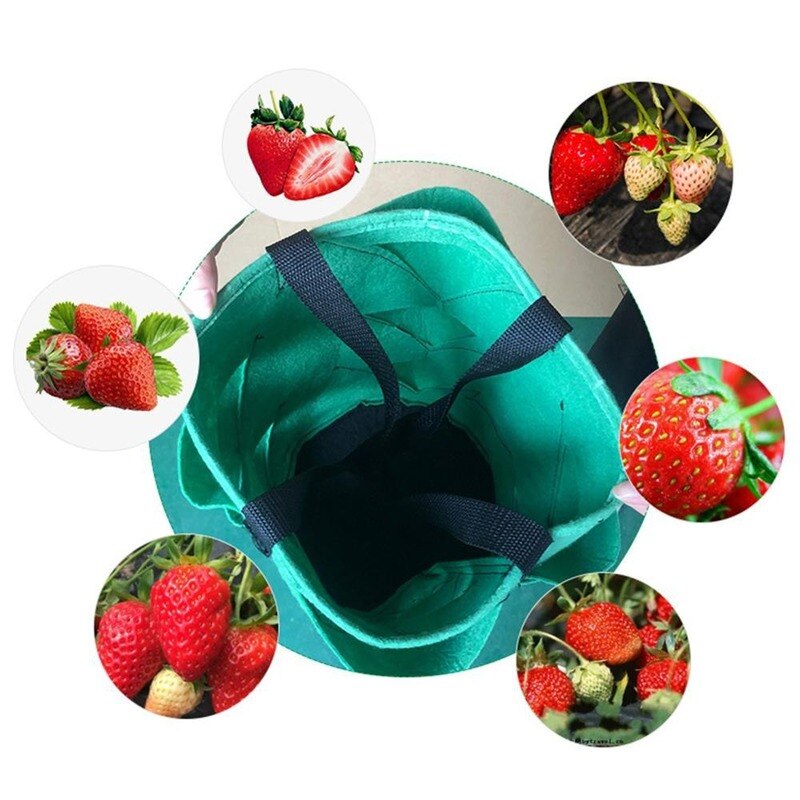 Multi Pocket Hanging Strawberry Planter