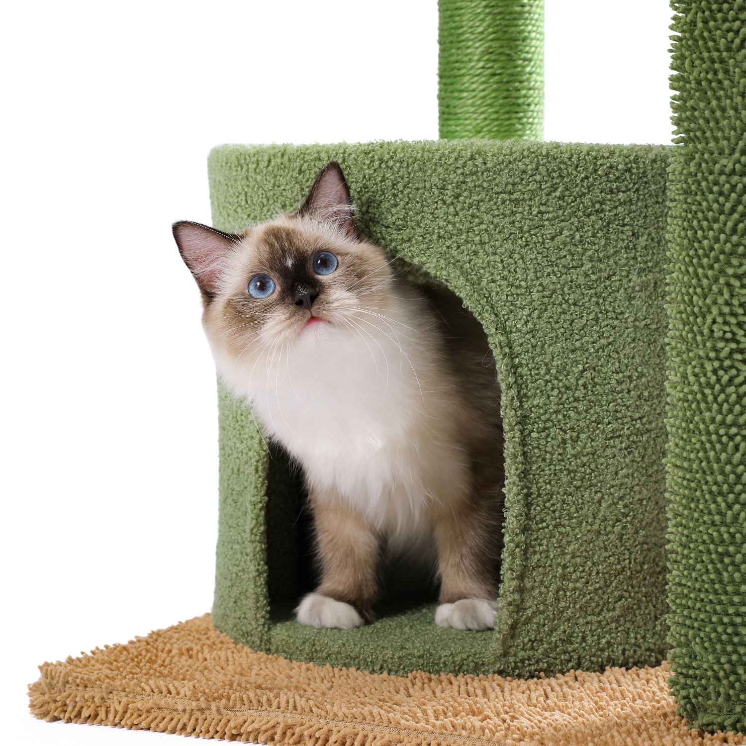 Multi Tier Cactus Cat Tower Multi Tier Cactus Cat Tower